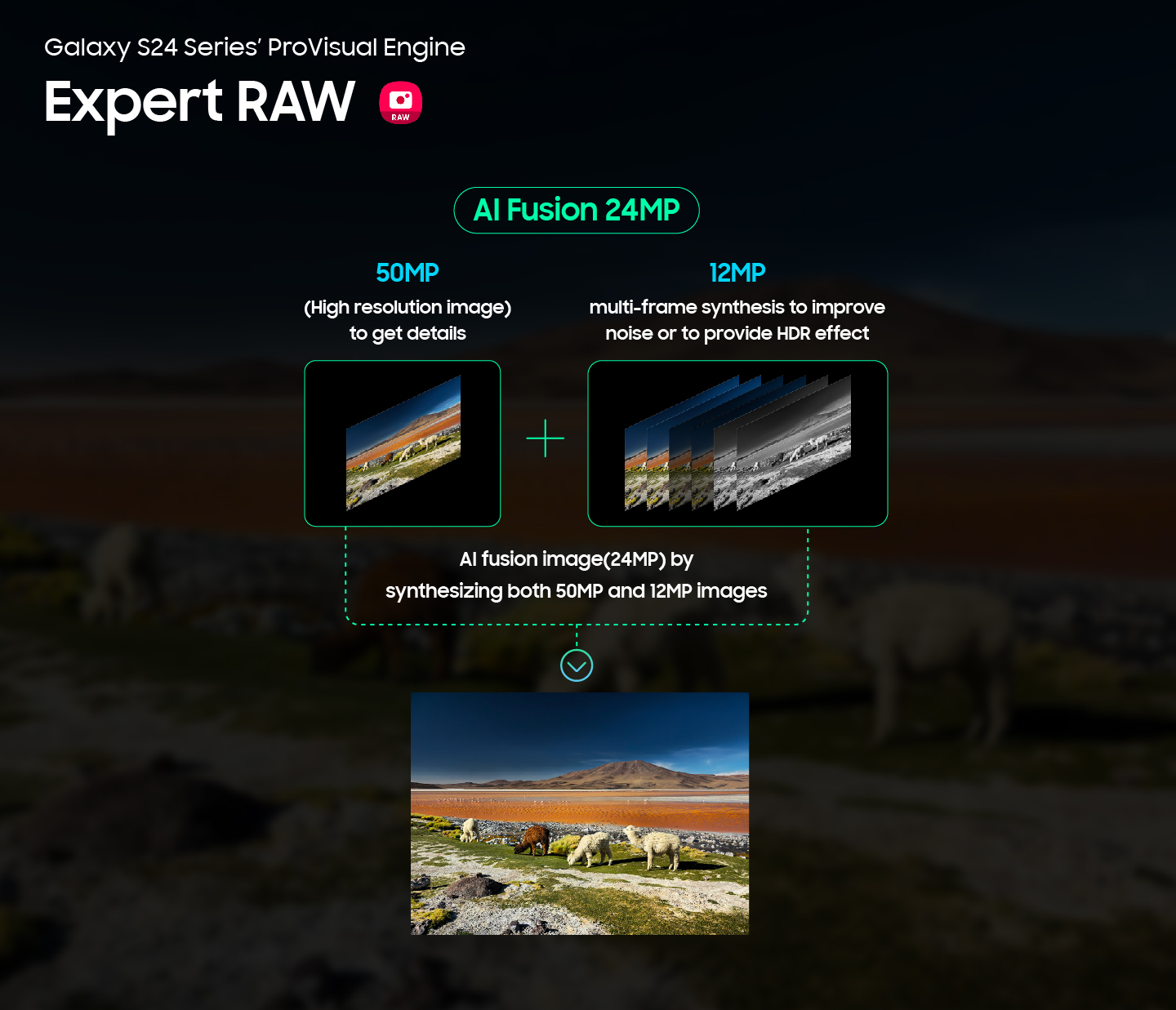 Infographic image of Galaxy S24 series' ProVisual Engine Expert RAW